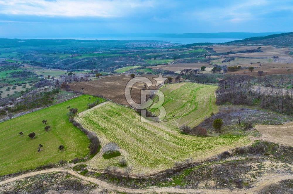 Çanakkale Merkez Yağcılar 46.399m2
