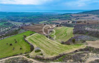 Çanakkale Merkez Yağcılar 46.399m2