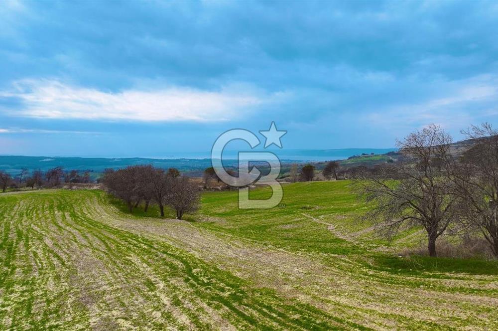Çanakkale Merkez Yağcılar 46.399m2