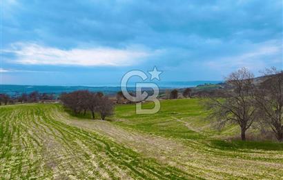 Çanakkale Merkez Yağcılar 46.399m2