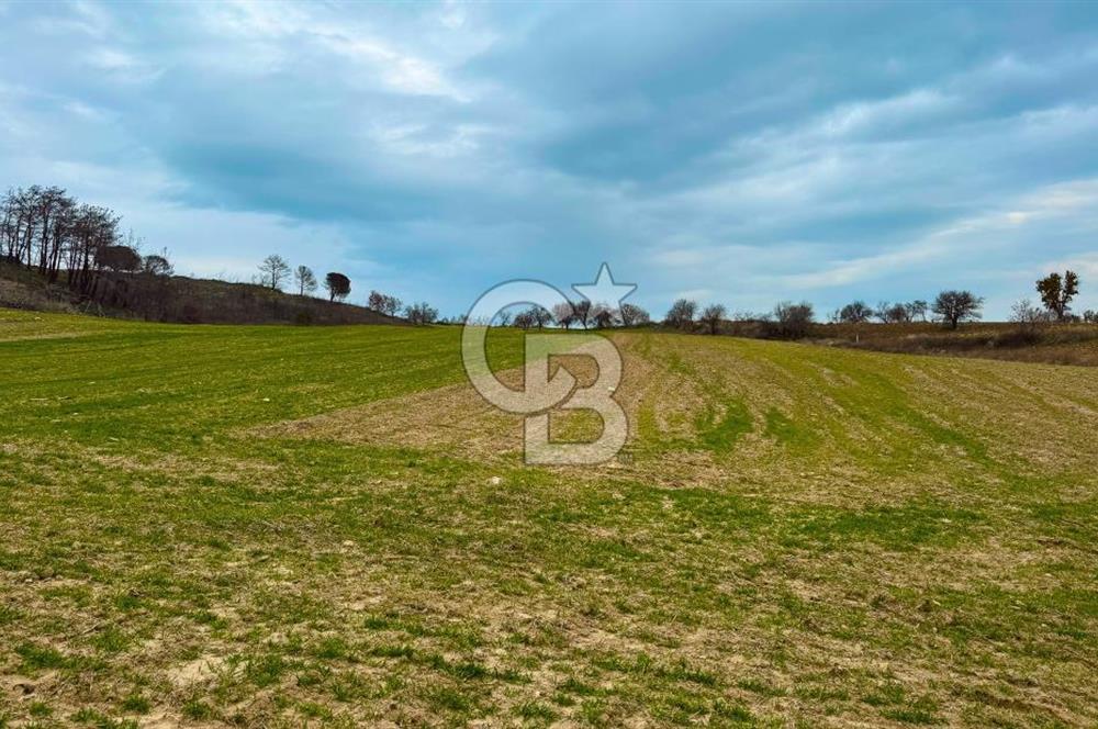 Çanakkale Merkez Yağcılar 46.399m2