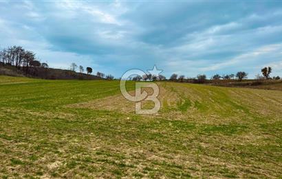 Çanakkale Merkez Yağcılar 46.399m2