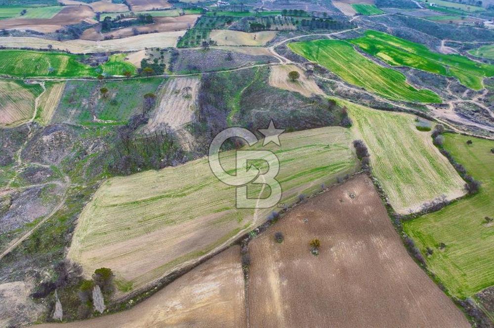 Çanakkale Merkez Yağcılar 46.399m2