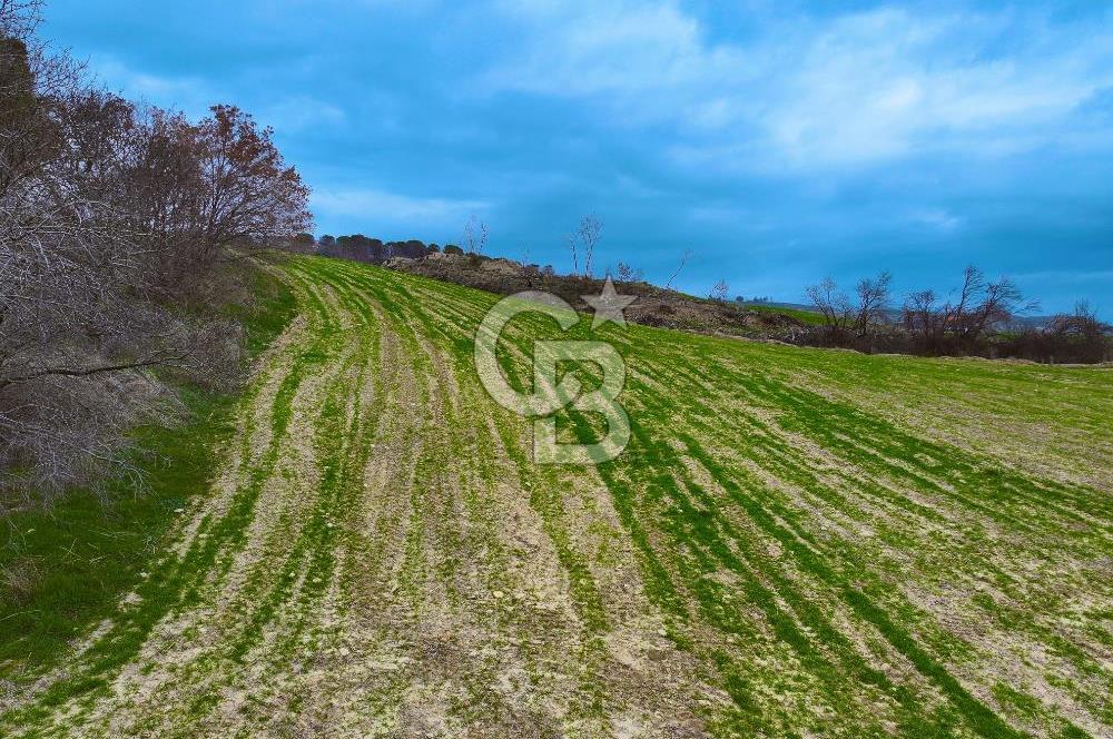 Çanakkale Merkez Yağcılar 46.399m2