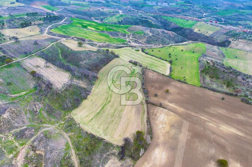 Çanakkale Merkez Yağcılar 46.399m2