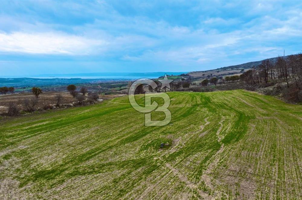 Çanakkale Merkez Yağcılar 46.399m2