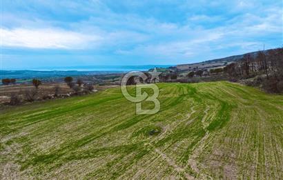 Çanakkale Merkez Yağcılar 46.399m2