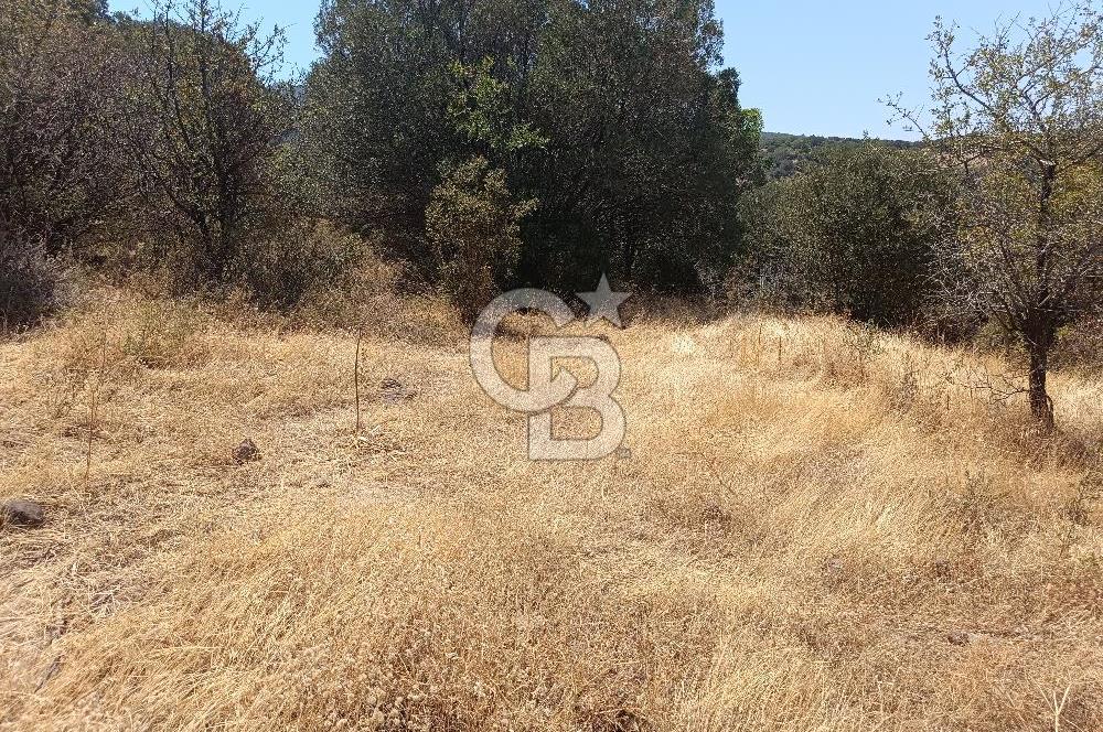  YENİFOÇA’DA İKİZ VİLLA İMARLI DENİZ MANZARALI ARSA