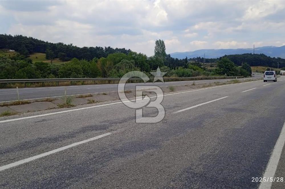 KEMALPAŞA YUKARİKİZİLCA SATILIK ZEYTİNLİ TARLA 35707m2