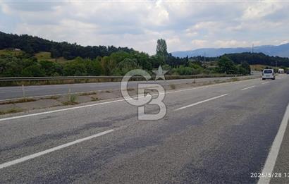 KEMALPAŞA YUKARİKİZİLCA SATILIK ZEYTİNLİ TARLA 35707m2