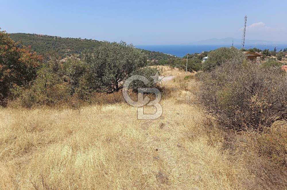  YENİFOÇA’DA İKİZ VİLLA İMARLI DENİZ MANZARALI ARSA