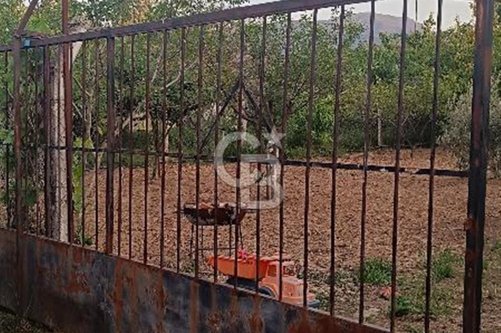 Kemalpaşa Armutlu Kuştepe Mevkiinde Satılık 710m2 Bağ