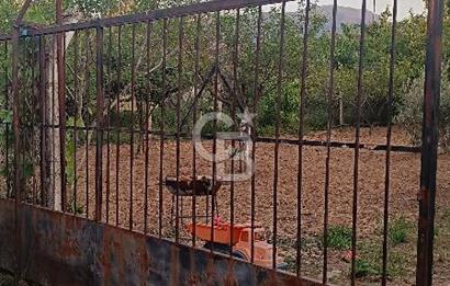 Kemalpaşa Armutlu Kuştepe Mevkiinde Satılık 710m2 Bağ