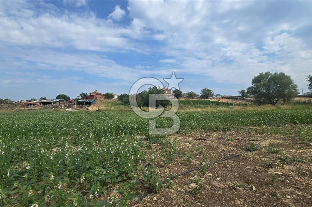 ÇANAKKALE LAPSEKİ ADATEPE KÖYÜNDE İMARA YAKIN SATILIK TARLA