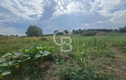 ÇANAKKALE LAPSEKİ ADATEPE KÖYÜNDE İMARA YAKIN SATILIK TARLA