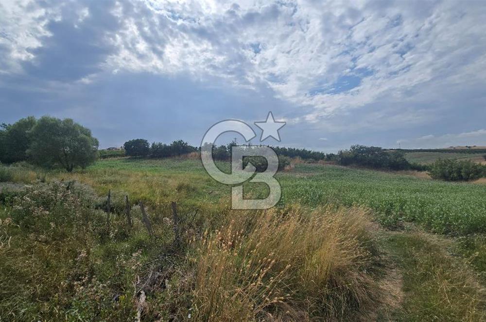 ÇANAKKALE LAPSEKİ ADATEPE KÖYÜNDE İMARA YAKIN SATILIK TARLA
