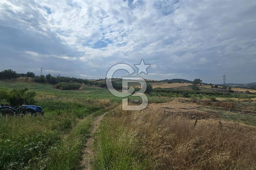 ÇANAKKALE LAPSEKİ ADATEPE KÖYÜNDE İMARA YAKIN SATILIK TARLA