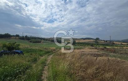 ÇANAKKALE LAPSEKİ ADATEPE KÖYÜNDE İMARA YAKIN SATILIK TARLA