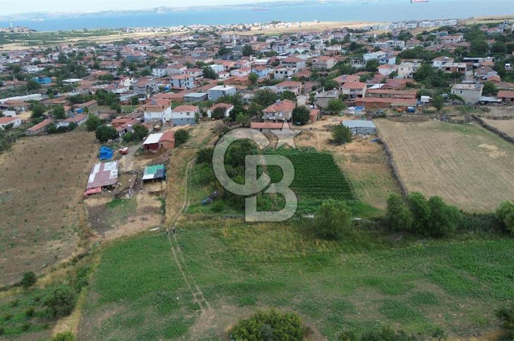 ÇANAKKALE LAPSEKİ ADATEPE KÖYÜNDE İMARA YAKIN SATILIK TARLA