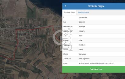 ÇANAKKALE LAPSEKİ ADATEPE KÖYÜNDE İMARA YAKIN SATILIK TARLA