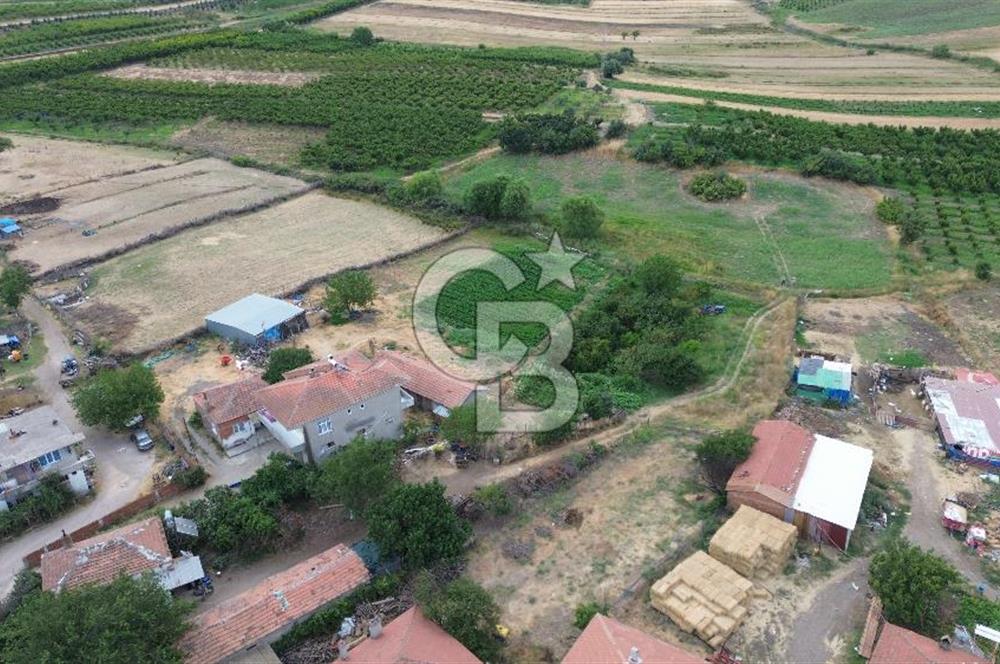 ÇANAKKALE LAPSEKİ ADATEPE KÖYÜNDE İMARA YAKIN SATILIK TARLA