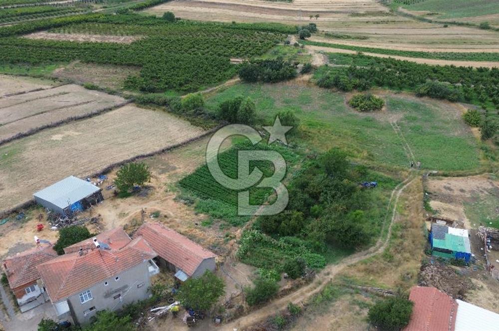 ÇANAKKALE LAPSEKİ ADATEPE KÖYÜNDE İMARA YAKIN SATILIK TARLA