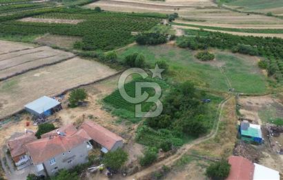 ÇANAKKALE LAPSEKİ ADATEPE KÖYÜNDE İMARA YAKIN SATILIK TARLA