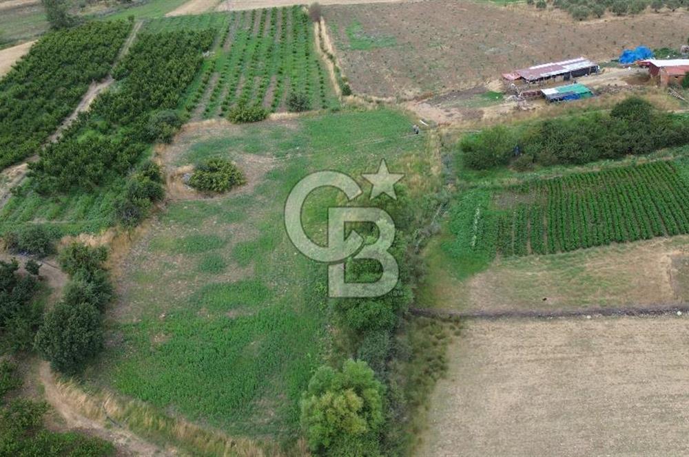 ÇANAKKALE LAPSEKİ ADATEPE KÖYÜNDE İMARA YAKIN SATILIK TARLA
