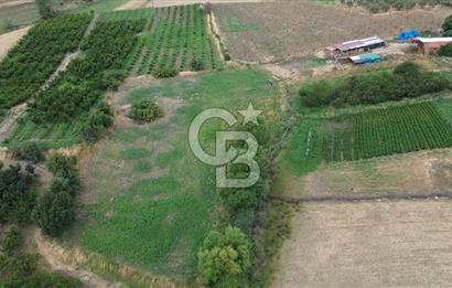 ÇANAKKALE LAPSEKİ ADATEPE KÖYÜNDE İMARA YAKIN SATILIK TARLA
