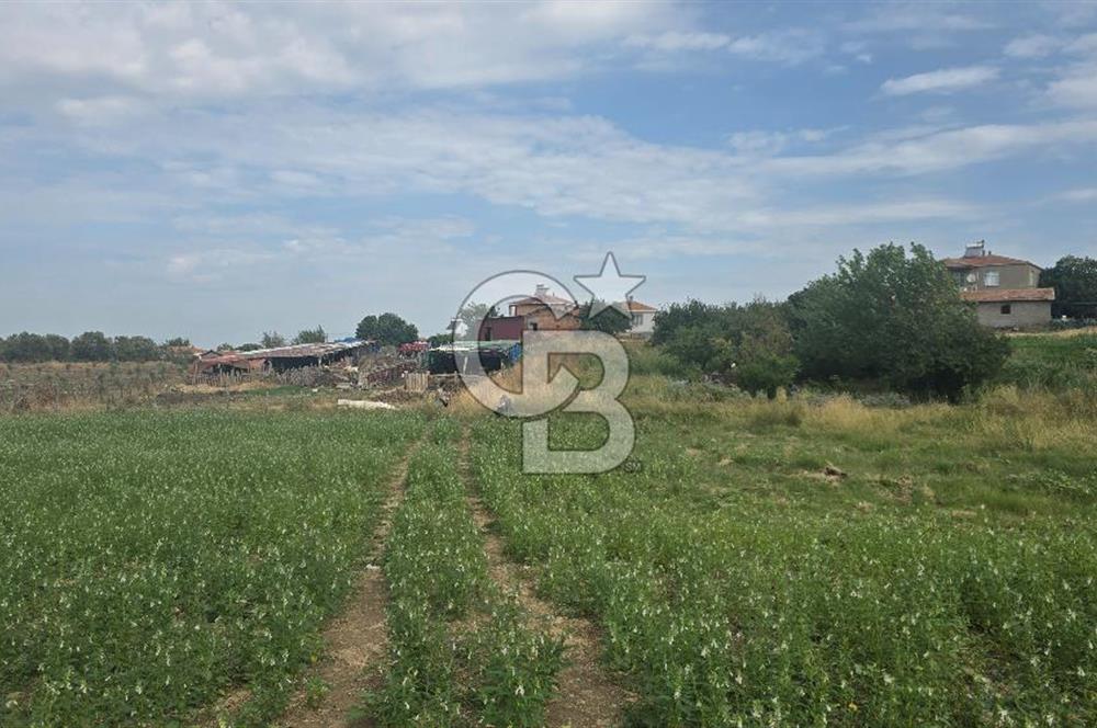 ÇANAKKALE LAPSEKİ ADATEPE KÖYÜNDE İMARA YAKIN SATILIK TARLA