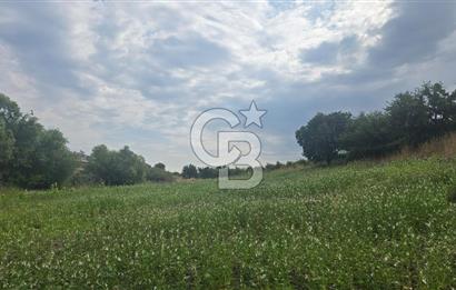 ÇANAKKALE LAPSEKİ ADATEPE KÖYÜNDE İMARA YAKIN SATILIK TARLA