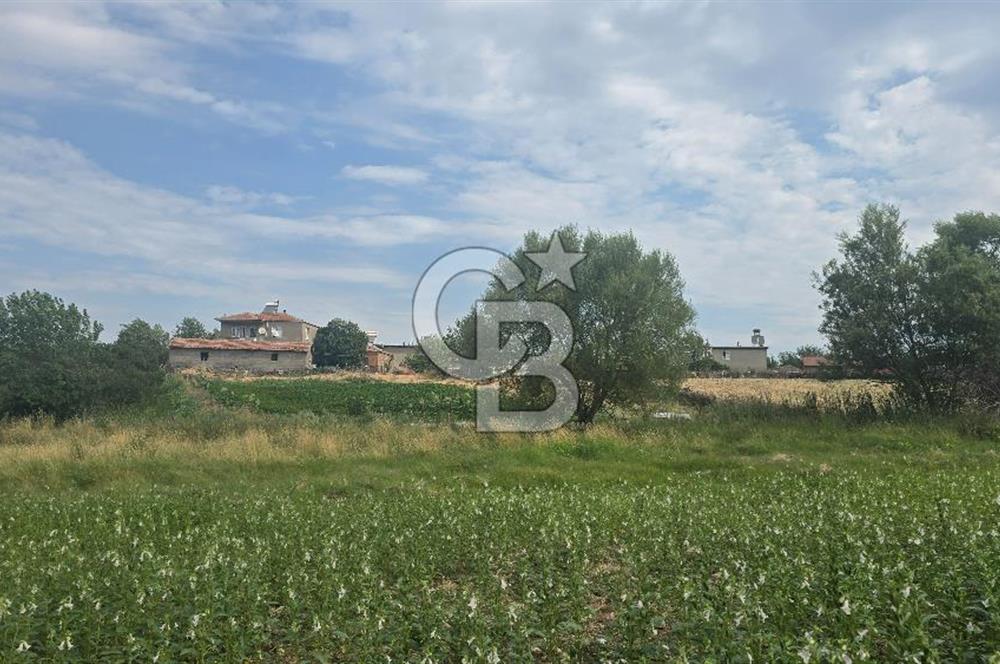 ÇANAKKALE LAPSEKİ ADATEPE KÖYÜNDE İMARA YAKIN SATILIK TARLA