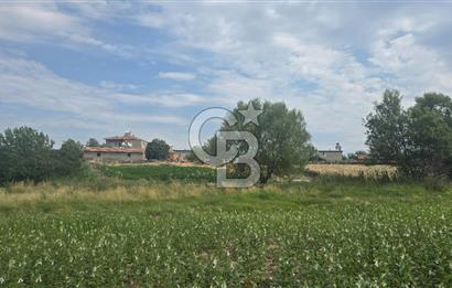ÇANAKKALE LAPSEKİ ADATEPE KÖYÜNDE İMARA YAKIN SATILIK TARLA