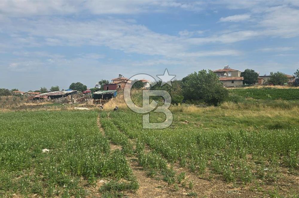ÇANAKKALE LAPSEKİ ADATEPE KÖYÜNDE İMARA YAKIN SATILIK TARLA