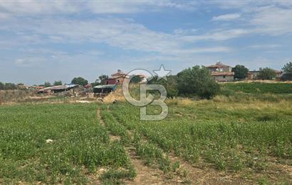 ÇANAKKALE LAPSEKİ ADATEPE KÖYÜNDE İMARA YAKIN SATILIK TARLA
