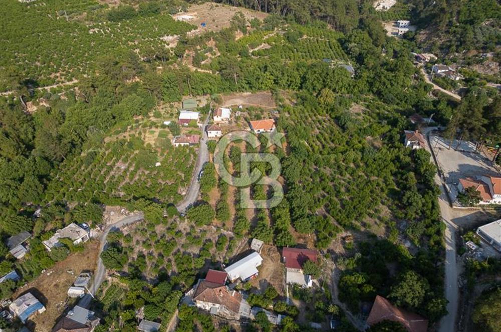 CB ARDENDEN ANTALYA FİNİKENİN CENNETİ GÖKBÜKTE SATILIK BAHÇE