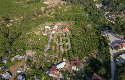 CB ARDENDEN ANTALYA FİNİKENİN CENNETİ GÖKBÜKTE SATILIK BAHÇE