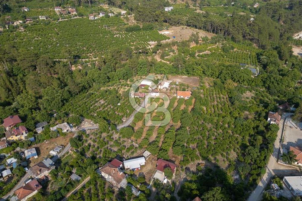CB ARDENDEN ANTALYA FİNİKENİN CENNETİ GÖKBÜKTE SATILIK BAHÇE