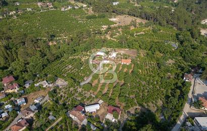 CB ARDENDEN ANTALYA FİNİKENİN CENNETİ GÖKBÜKTE SATILIK BAHÇE