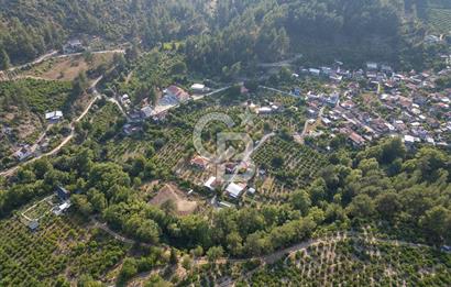 CB ARDENDEN ANTALYA FİNİKENİN CENNETİ GÖKBÜKTE SATILIK BAHÇE