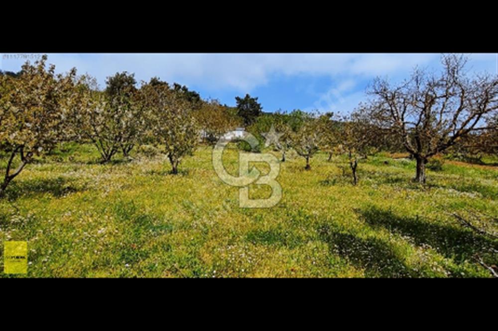 BAYINDIR ALANKIYI KÖYÜNDE SATILIK YAYLA EVİ VE BAHÇE