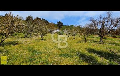 BAYINDIR ALANKIYI KÖYÜNDE SATILIK YAYLA EVİ VE BAHÇE