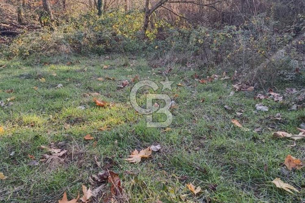 ÇAN KIZILELMA KÖYÜ 796 M2 İMARLI BAHÇE