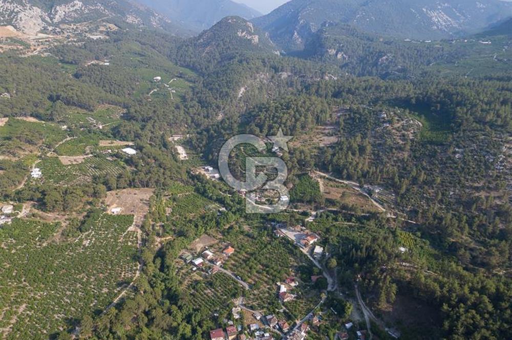 CB ARDENDEN ANTALYA FİNİKENİN CENNETİ GÖKBÜKTE SATILIK BAHÇE