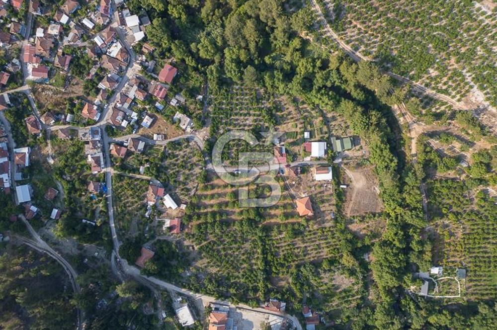 CB ARDENDEN ANTALYA FİNİKENİN CENNETİ GÖKBÜKTE SATILIK BAHÇE
