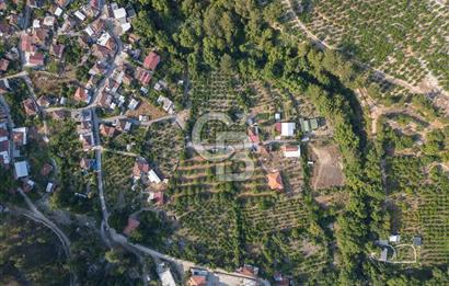 CB ARDENDEN ANTALYA FİNİKENİN CENNETİ GÖKBÜKTE SATILIK BAHÇE