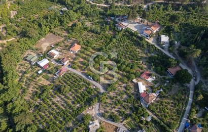 CB ARDENDEN ANTALYA FİNİKENİN CENNETİ GÖKBÜKTE SATILIK BAHÇE