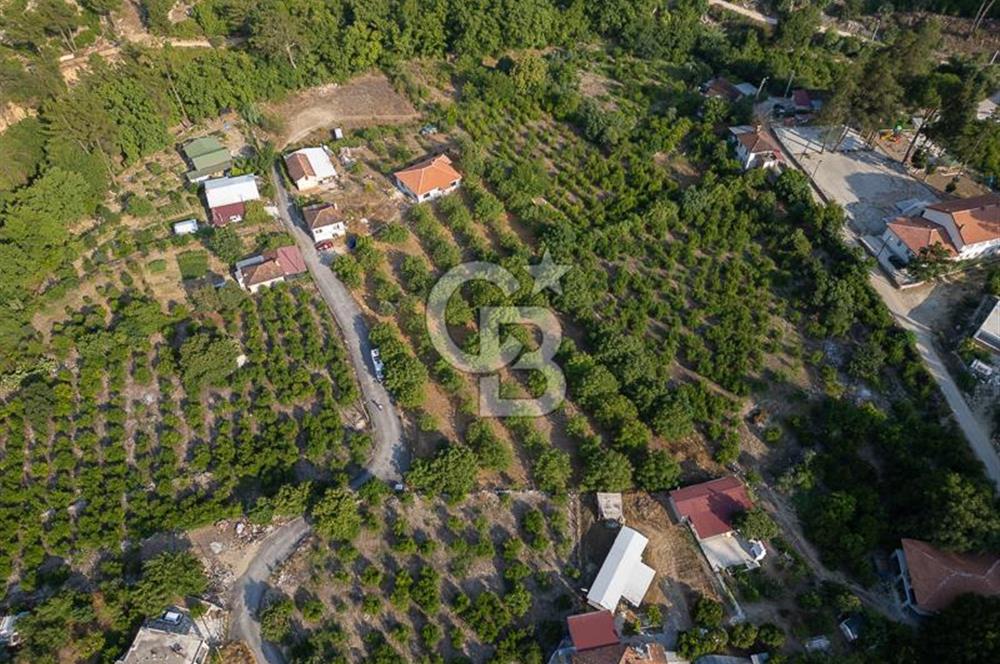 CB ARDENDEN ANTALYA FİNİKENİN CENNETİ GÖKBÜKTE SATILIK BAHÇE