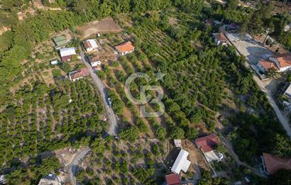 CB ARDENDEN ANTALYA FİNİKENİN CENNETİ GÖKBÜKTE SATILIK BAHÇE