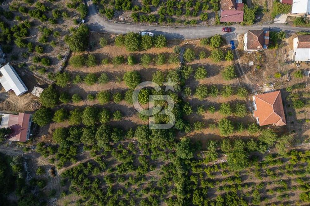 CB ARDENDEN ANTALYA FİNİKENİN CENNETİ GÖKBÜKTE SATILIK BAHÇE